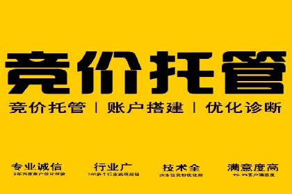 朋友圈信息流深度解析：成功案例背后的策略